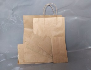 Пакет паперовий (100 шт.)