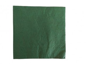 Серветки паперові "BRAUN" зелені (20 шт.)