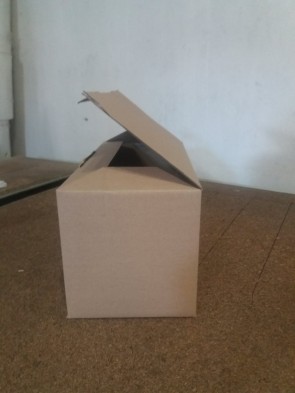 Коробка картонна (1 шт.)